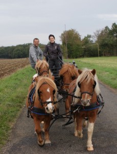 Nicolas, mes poneys et moi ! Octobre 2012