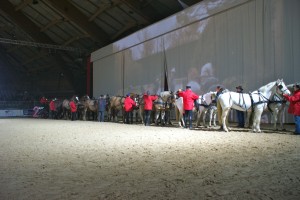 Ordre et méthode pour aligner les 14 chevaux sur scène