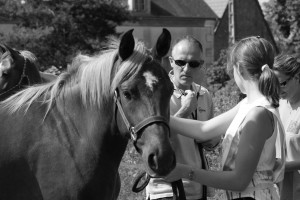 visite vétérinaire d'un cheval